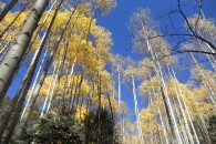 DSCN0278