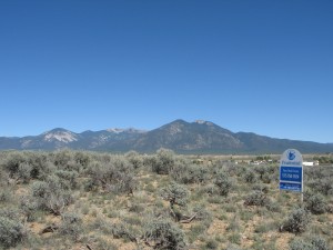 DESERT SAGE