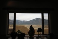 View thru window